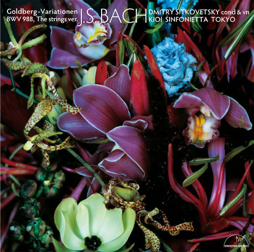 公交偷拍奶头真空凸视频
